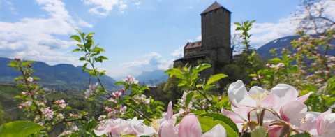 Tyrol Castle - Springtime