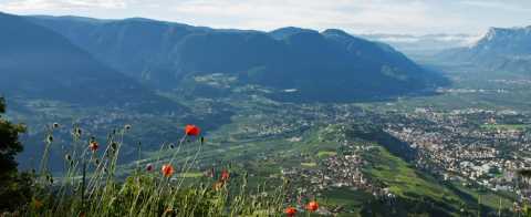Panorama − Dorf Tirol, Südtirol