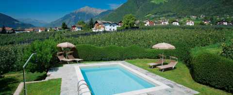 outdoor swimming pool at the Schlettererhof in Tirolo